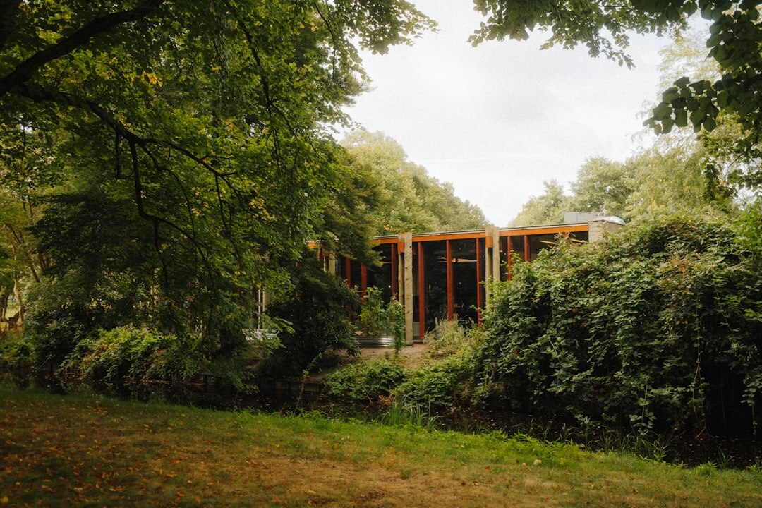 Modern glass-facade villa surrounded by greenery